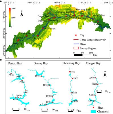 Hypoxia and its feedback response to algal blooms and CH4 emissions in subtropical reservoirs